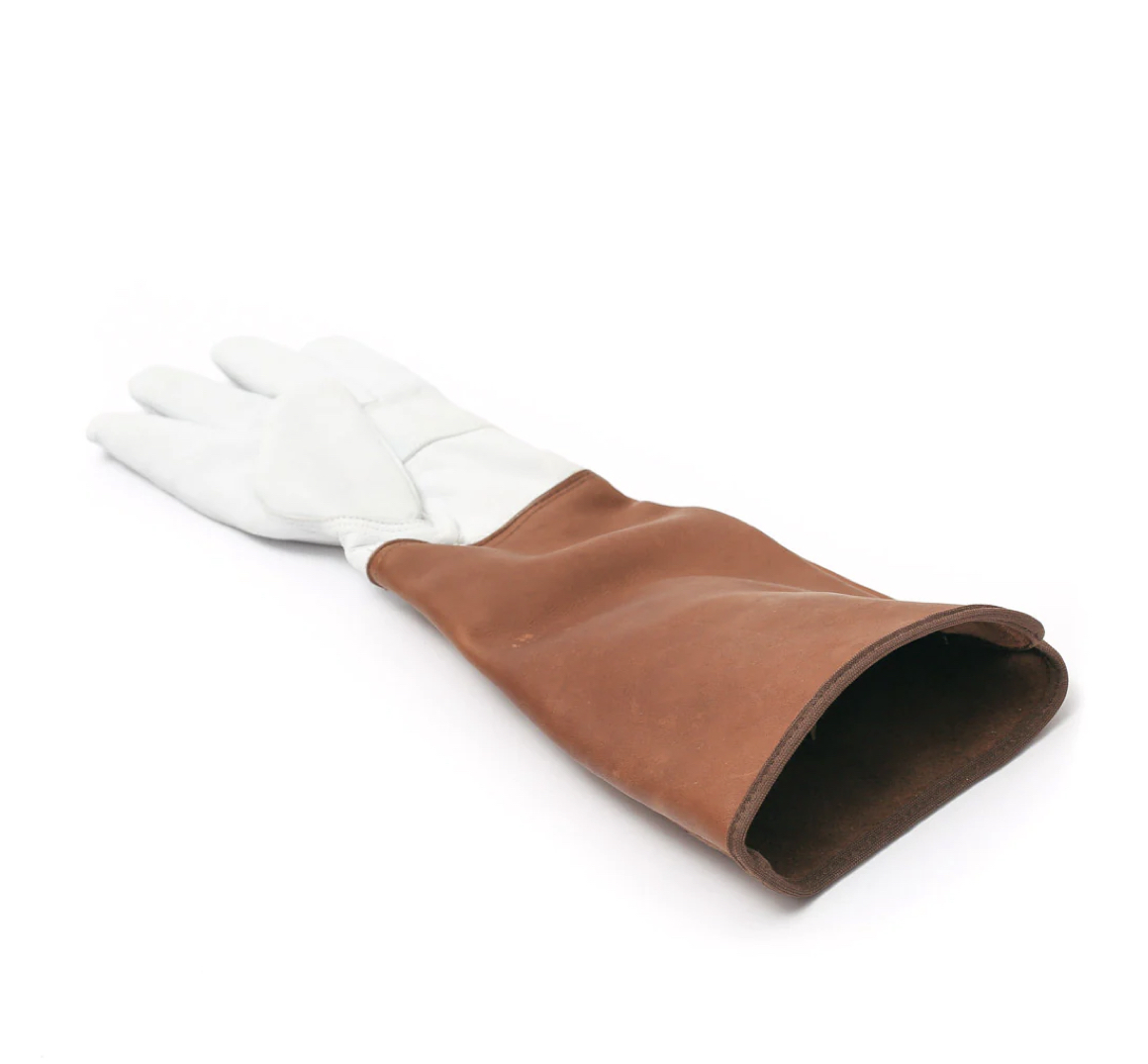 172010_Rosenhandschuhe_Leder2