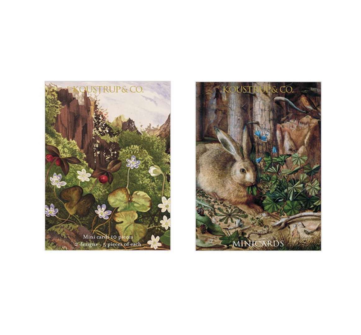 Koustrup & Co MINI-CARDS SPRING HARE Minikärtchen (2 Motiven, 10 Kärtchen mit Umschlag)
