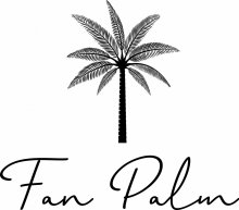 Fan Palm Fan Palm