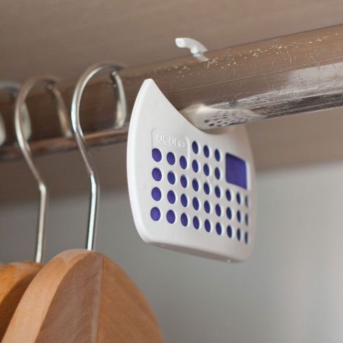 Acana_Hanging_Motten_Bekaempfung3